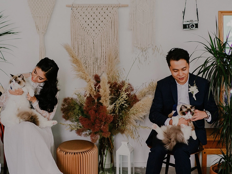 Fall Colours and Fur Babies For This Minimalist Wedding at Chun Tsubaki, Singapore