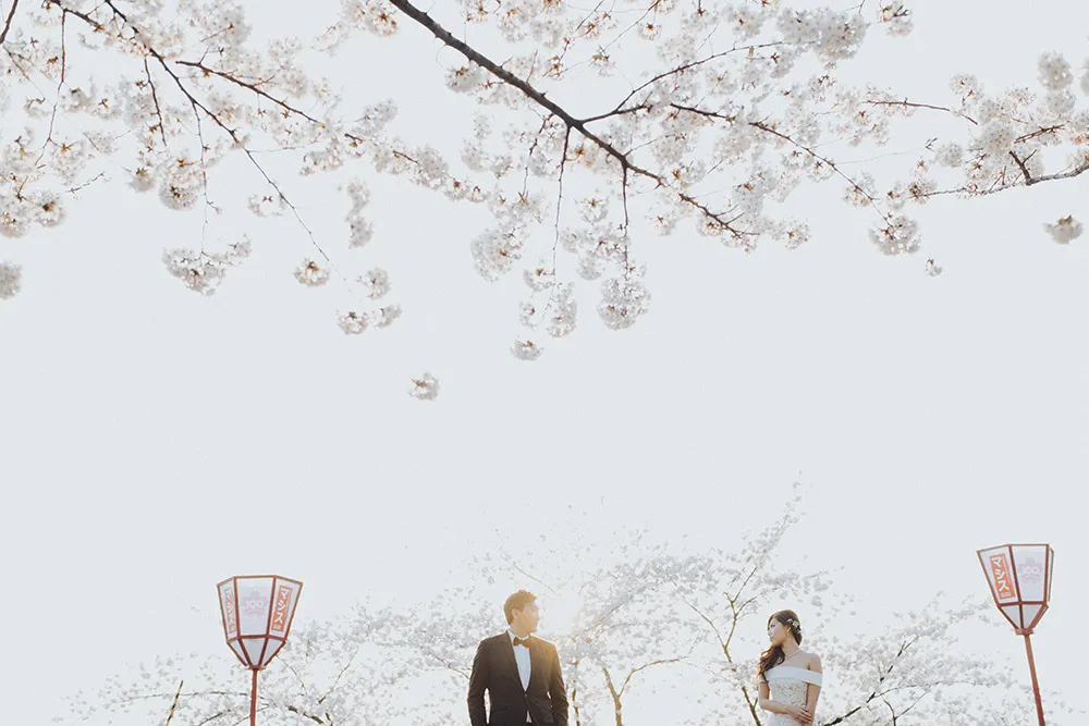 Photo by Terralogical. theweddingnotebook.com