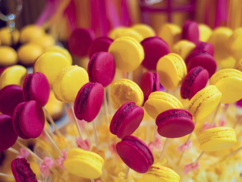 Fuchsia Pink, Yellow And The Tone Of Happy People