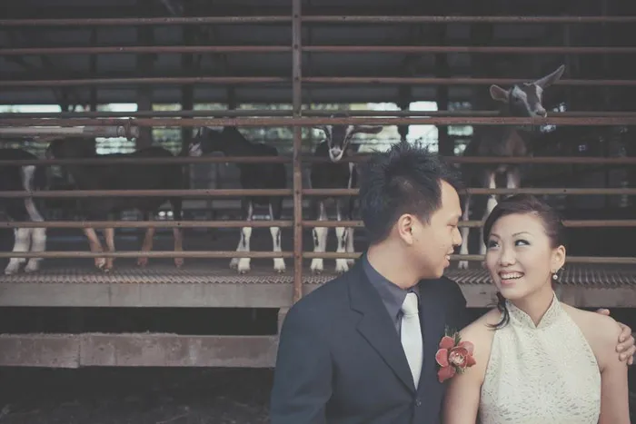 Goat farm oriental wedding in Singapore. Photography by One Eye Click. theweddingnotebook.com