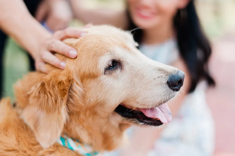 Photo by Bitesize Visuals. theweddingnotebook.com