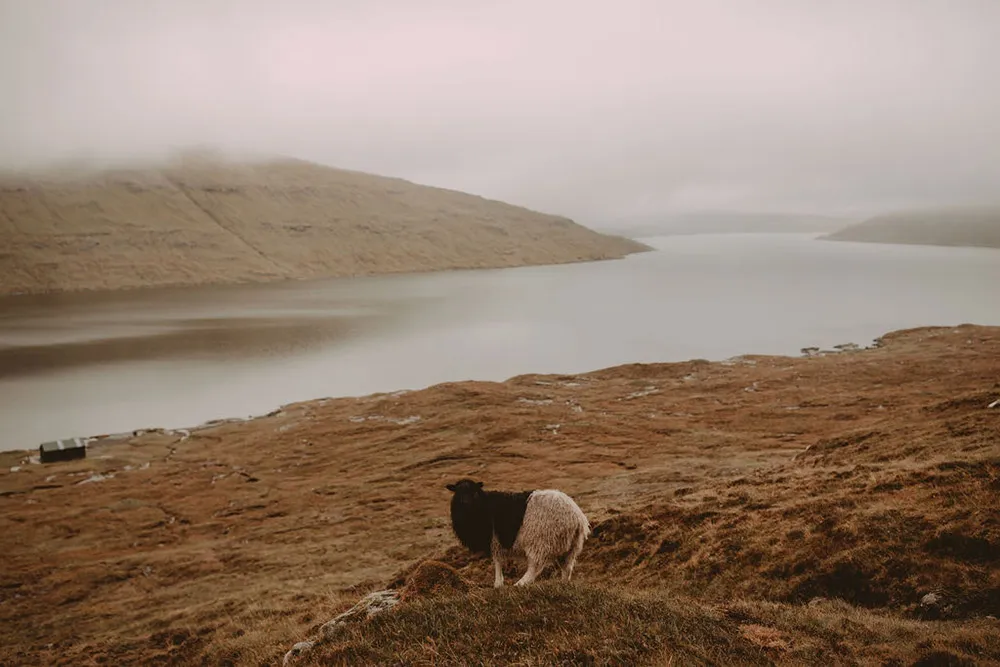 Hellojanelee Photography. theweddingnotebook.com