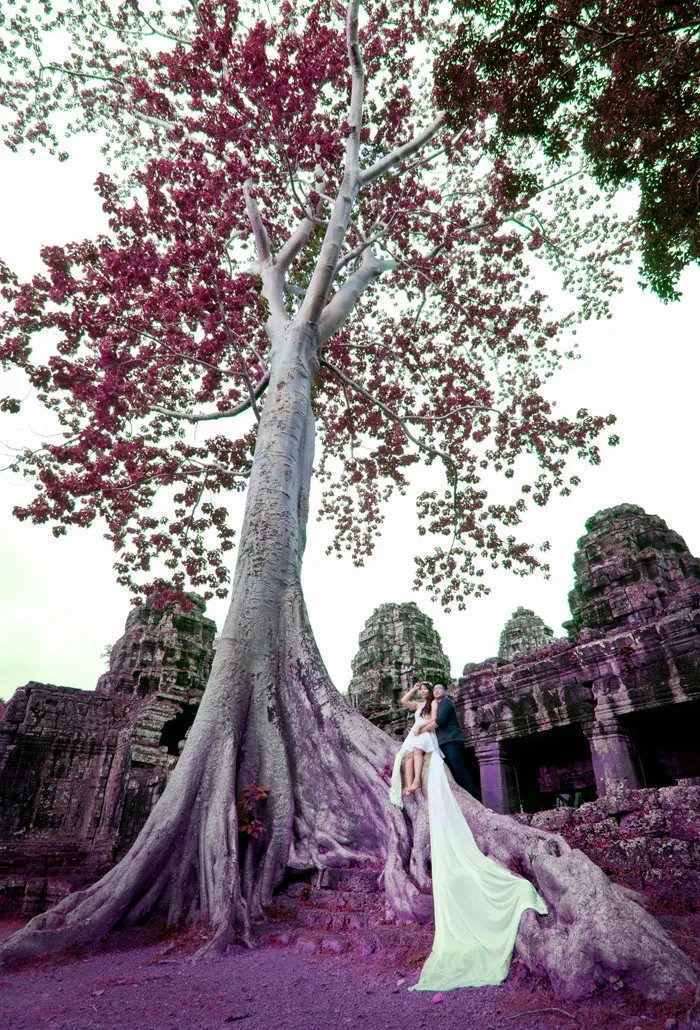 How To Shoot Your Own Bridal Portraits. theweddingnotebook.com
