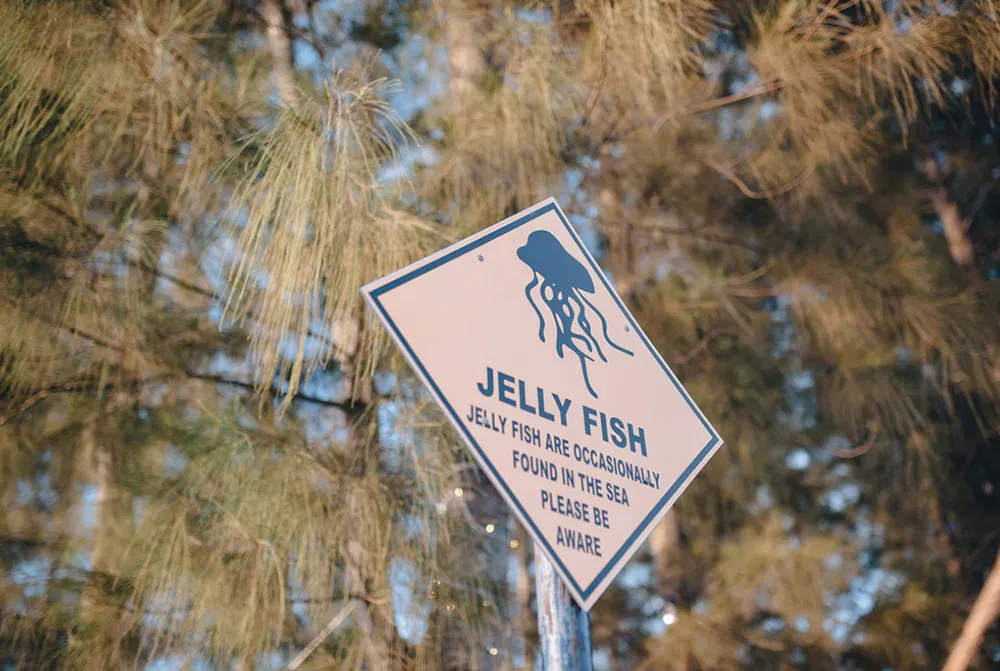 Photo by VRP Photography. theweddingnotebook.com