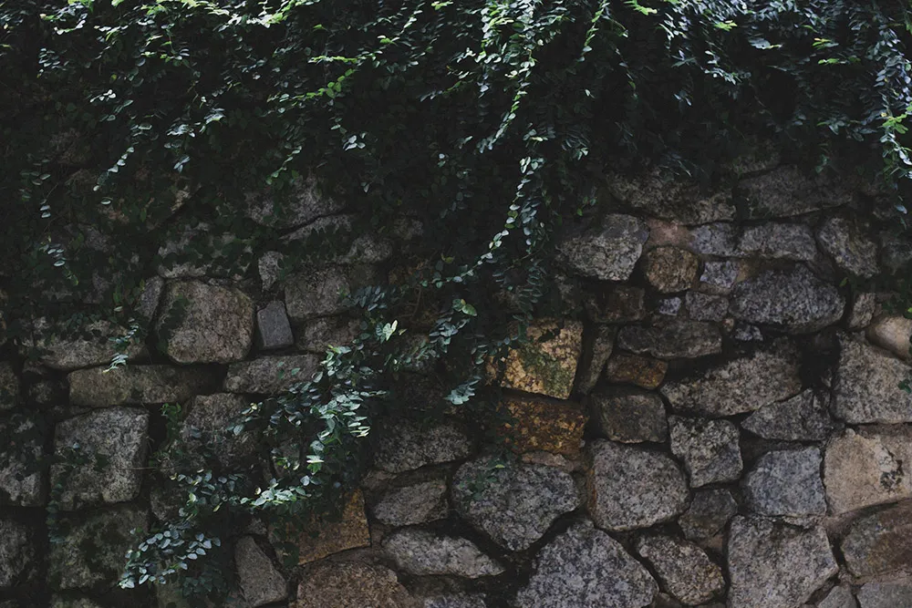 Photo by VRP Photography. theweddingnotebook.com