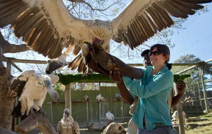 Moholoholo Wildlife Rehabilitation Centre, South Africa. Honeymoon itimerary for South Africa. theweddingnotebook.com