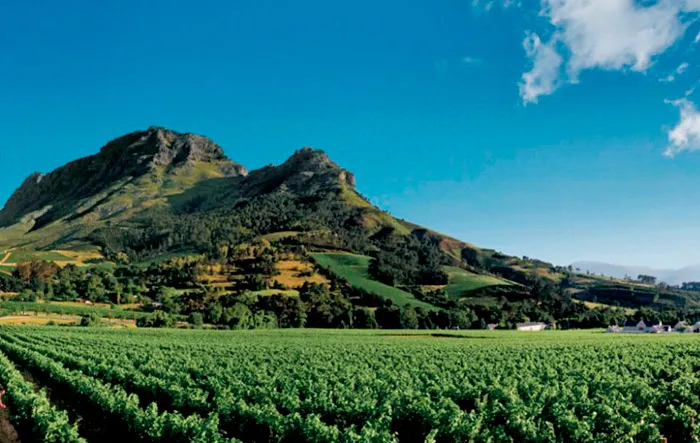 Wine Routes, South Africa. Honeymoon itimerary for South Africa. theweddingnotebook.com