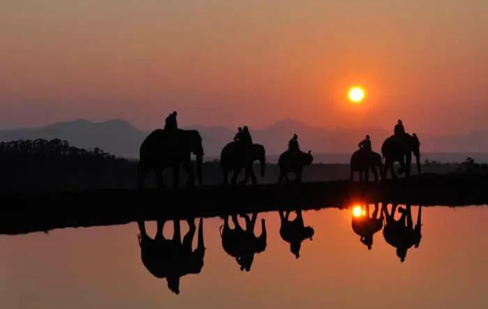 Knysna Elephant Park, South Africa. Honeymoon itimerary for South Africa. theweddingnotebook.com