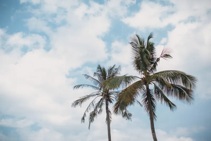 Evermotion Photography. ww.theweddingnotebook.com