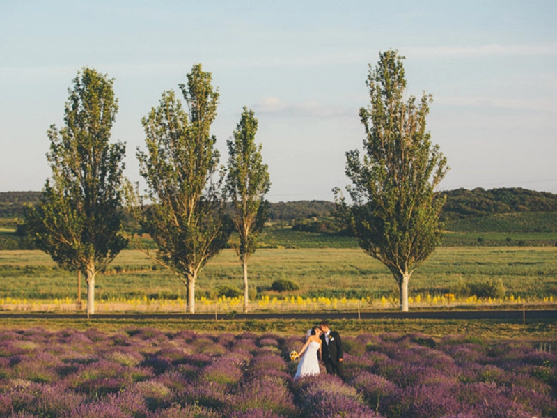 Peter Herman Photography