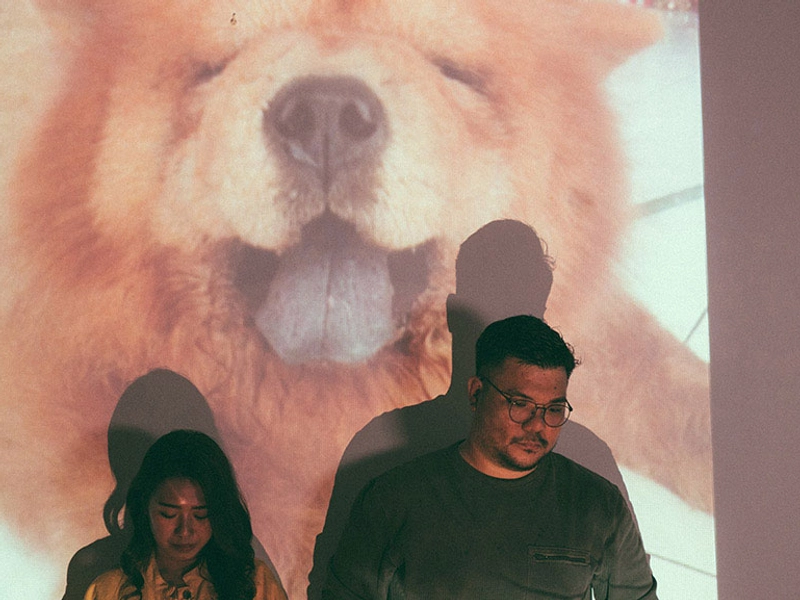 Pre-Wedding Album in Loving Memory of a Family Pet