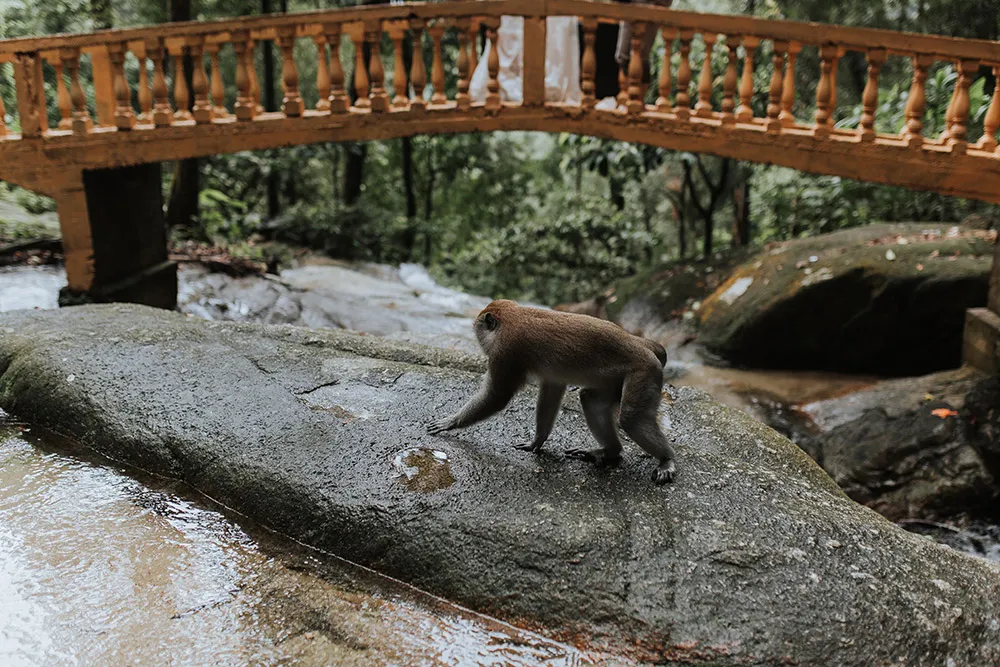 Photo by Anson Photography. theweddingnotebook.com