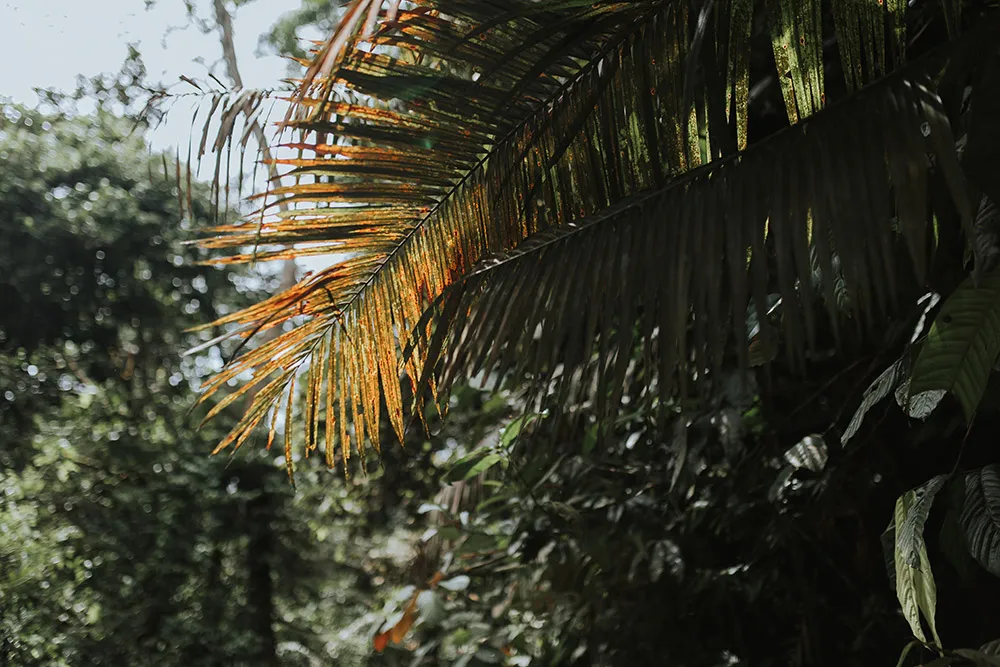 Photo by Anson Photography. theweddingnotebook.com