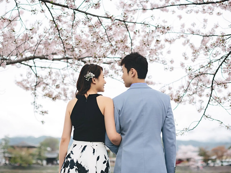 Sakura Dreams in Kyoto