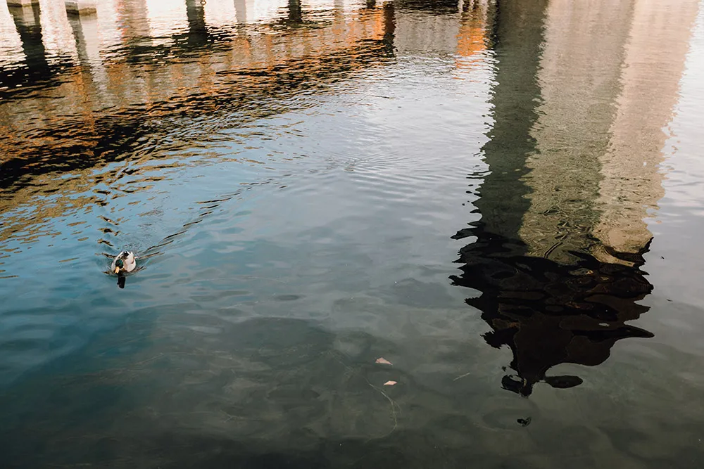 Photo by Jackie Yong Photography. theweddingnotebook.com