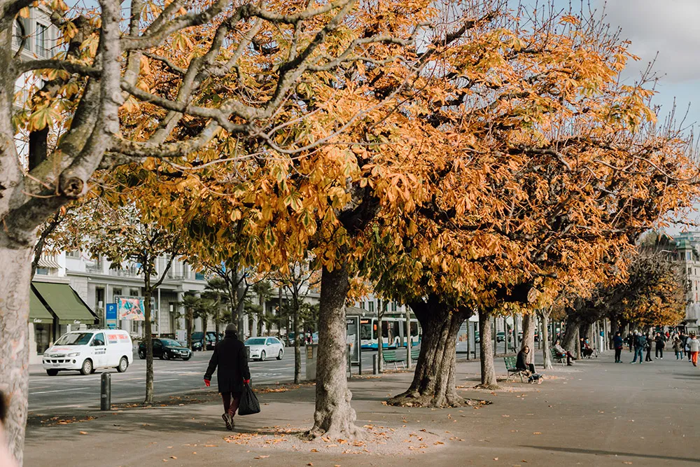 Photo by Jackie Yong Photography. theweddingnotebook.com