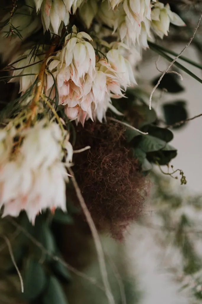 Juan Moley Photologue. Styling by Med Karlek. HDB styled shoot. theweddingnotebook.com