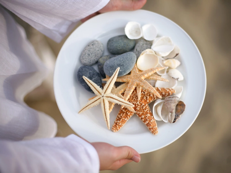 Sun, Sea, Sand And Starfishes