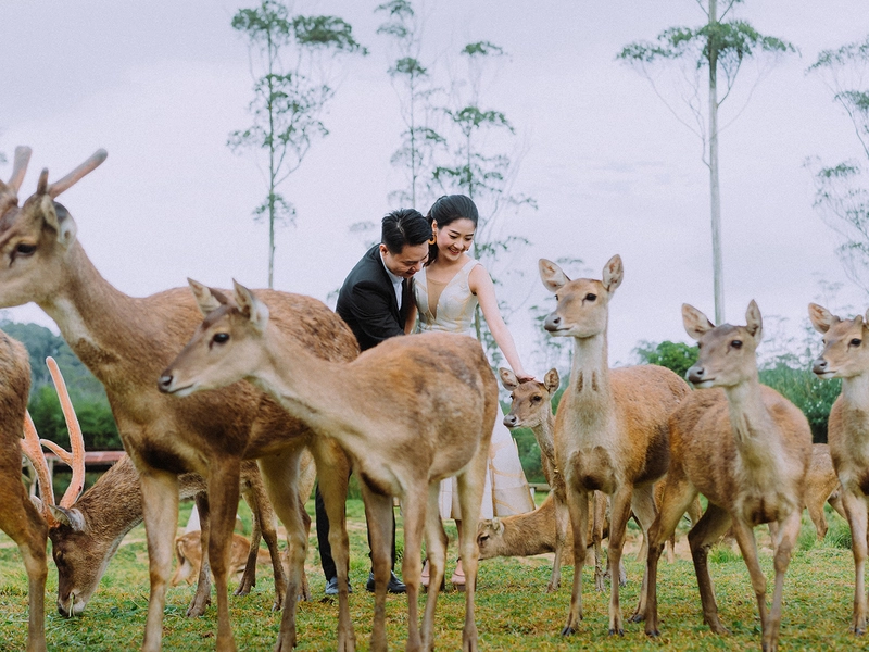 Sweet and Dreamy Bridal Portraits in Bandung, Indonesia
