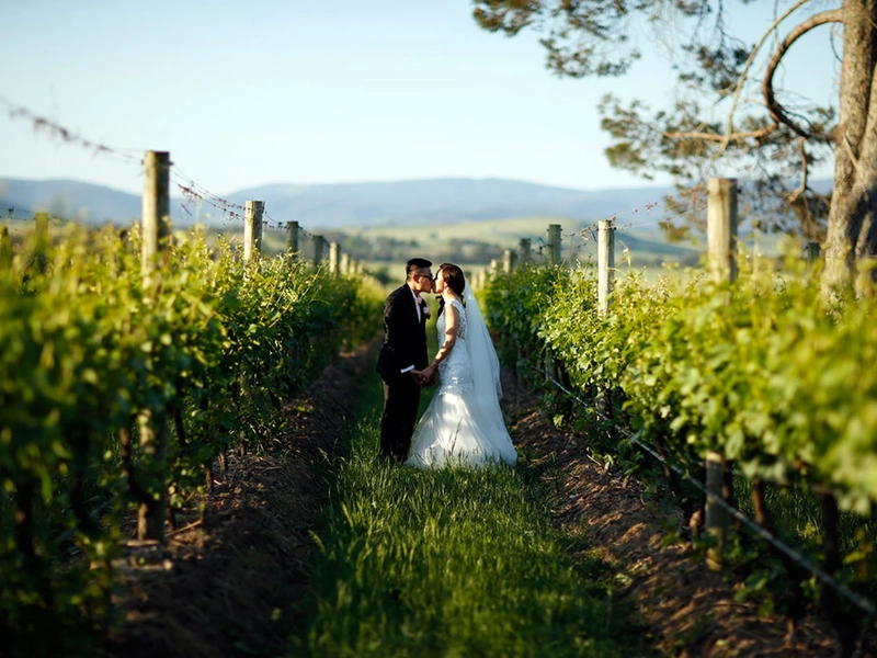 A Sweet And Simple Wedding In Yarra Valley, Melbourne