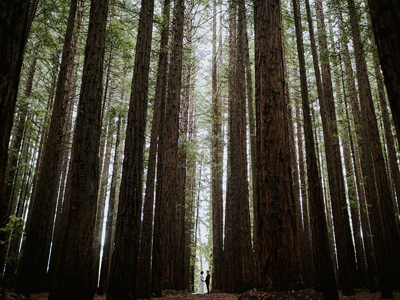 TRBAN Photography