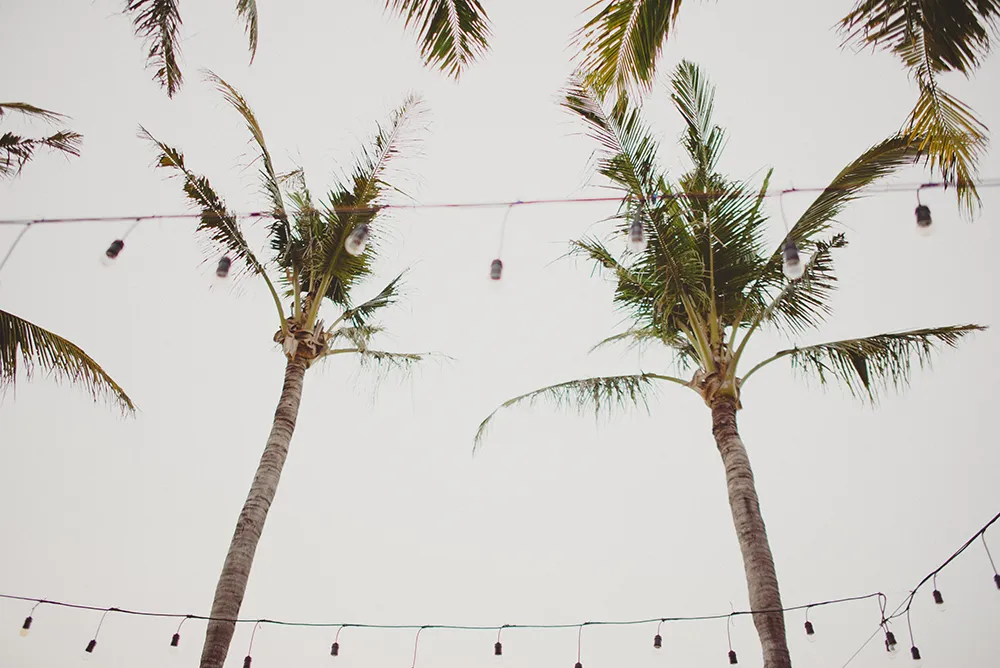 Photo by Terralogical. theweddingnotebook.com