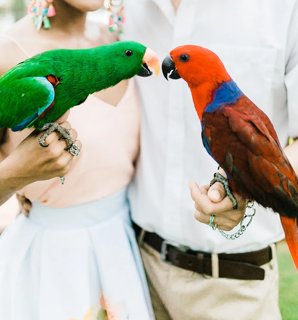 Photography by Helium Hearts by Marlon Capuyan. theweddingnotebook.com