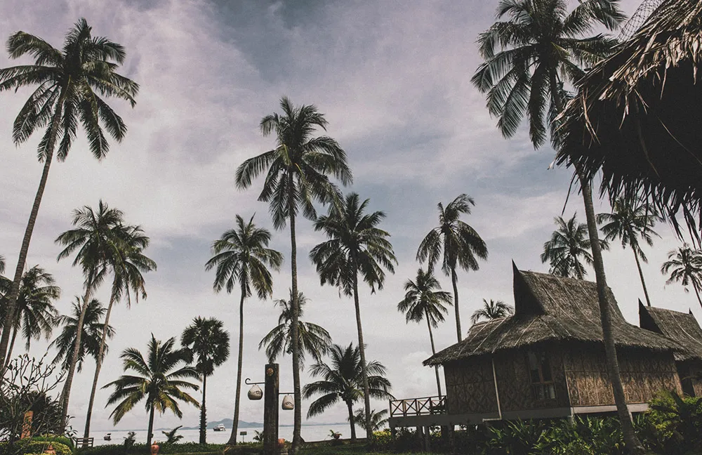 16-658-andy-phe-photography-sj-2_0005