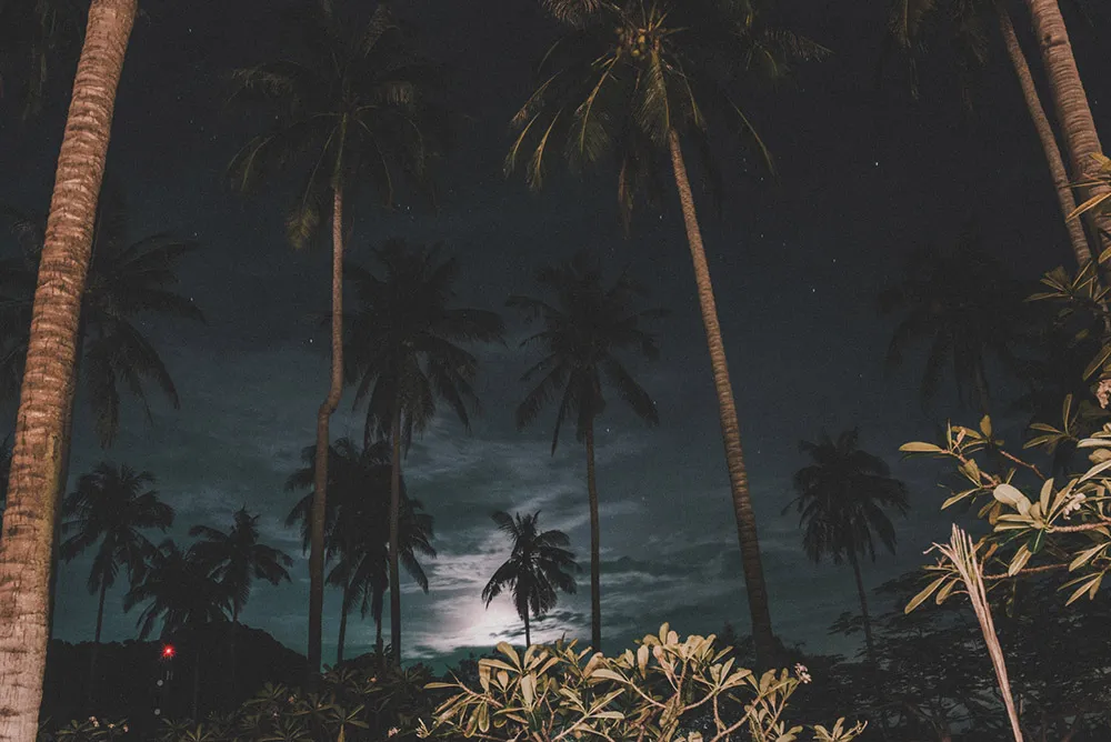 Andy Phe Photography. theweddingnotebook.com