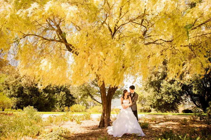 Multifolds Photography. theweddingnotebook.com
