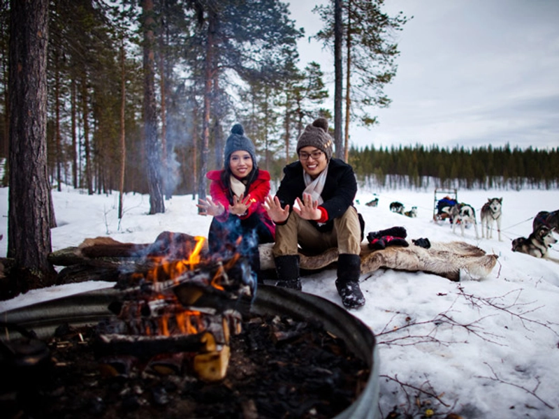Under The Northern Lights