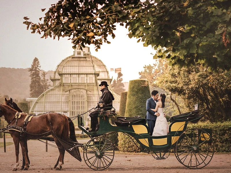 Vienna: City Of Dreams