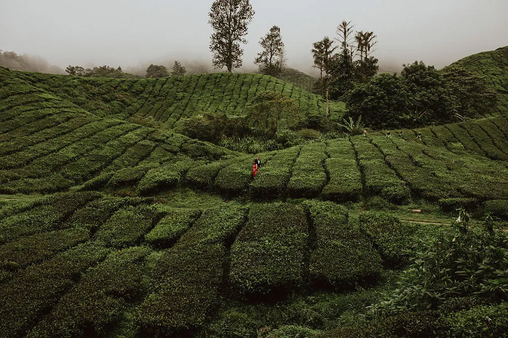 Photo by Hellow Jane Lee. theweddingnotebook.com