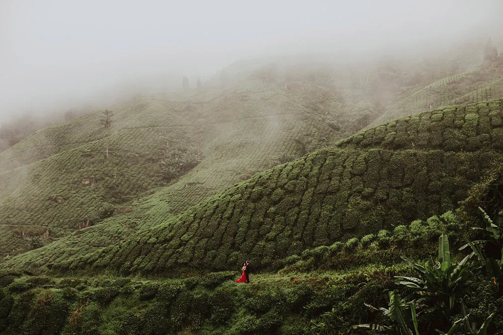 Photo by Hellow Jane Lee. theweddingnotebook.com