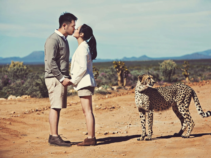 Walk On The Wild Side