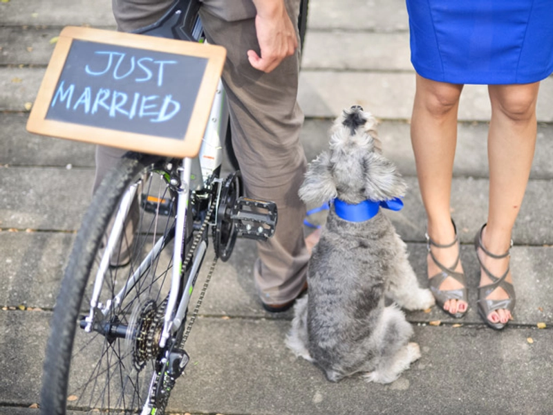 Wedding In A Secret Garden