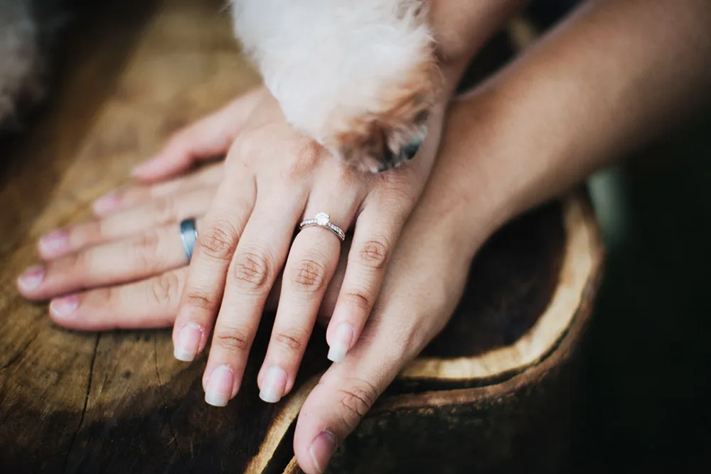Photo by Onewaytix. theweddingnotebook.com