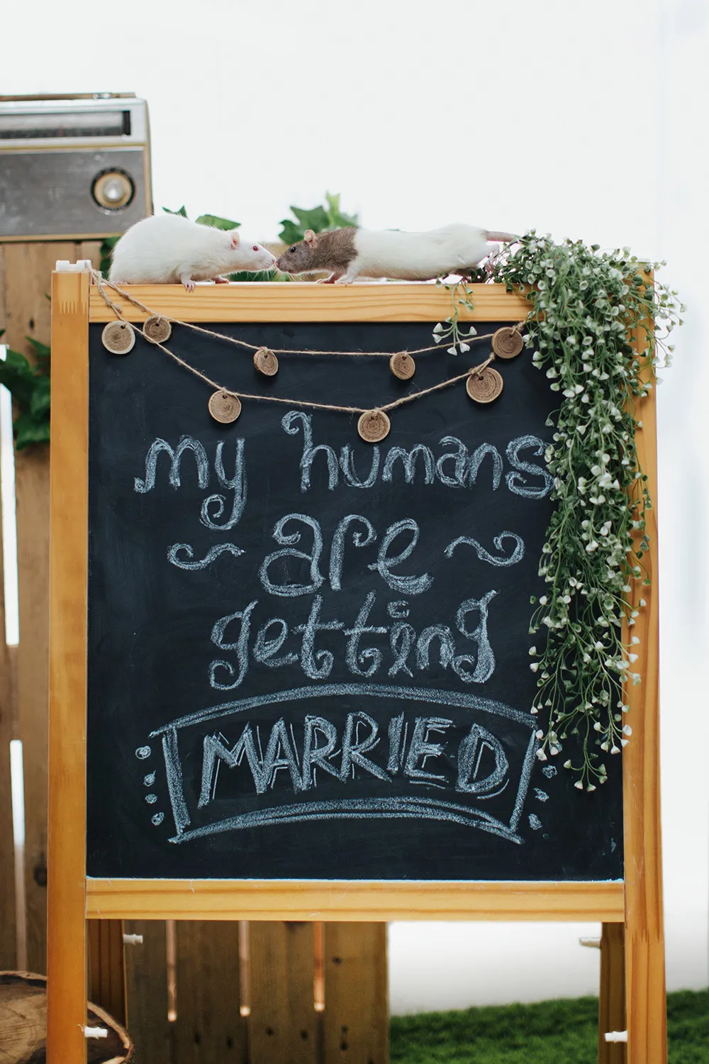 Photo by Onewaytix. theweddingnotebook.com